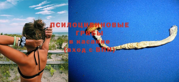 мяу мяу мука Ладушкин