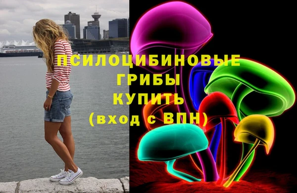 дмт Лагань