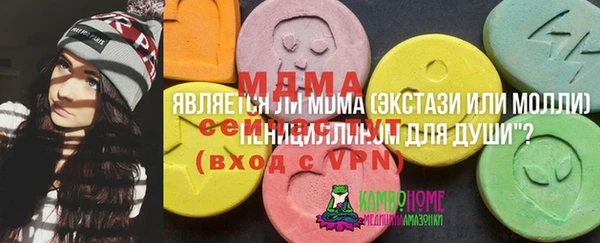 дмт Лагань