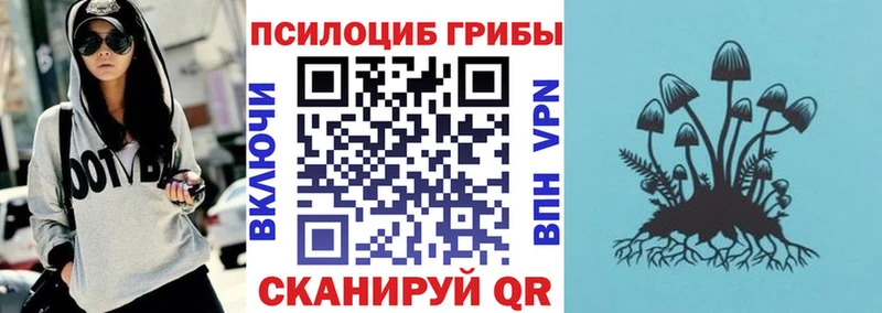 Купить закладки  Тихорецк  Галлюциногенные грибы мицелий 